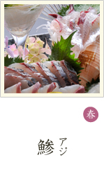 鯵